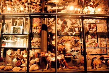 Tür tarihsel Galeri dünyadaki yaşamın çeşitli