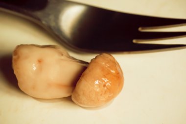 Beyaz tabakta salamura mantar Boletus tarih seçici odak