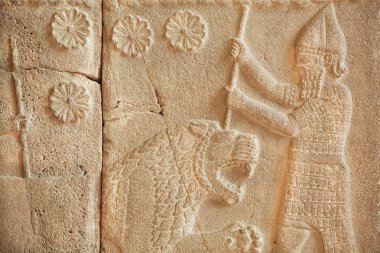 Vahşi Kaplan, Pergamon Müzesi, Berlin Assur kabartması vardır avcı öldürür.