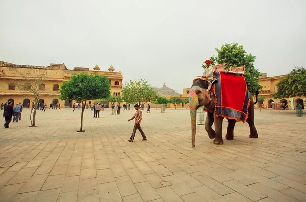 Elephant riders driving on area of ancient indian Amber Fort in India — ストック写真