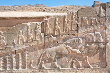 Bull and lion fighting on the bas-relief of Persepolis palace walls, Iran