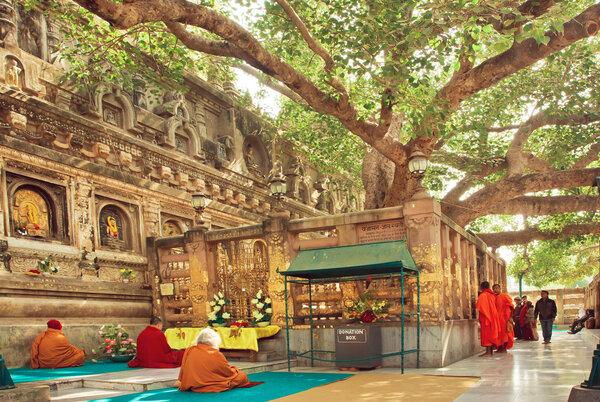 Many prayers sitting around the Bodhi tree, which the buddha became enlightened