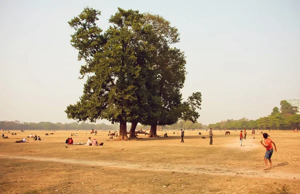 Persone che giocano a cricket e fare picnic nel parco della città a Calcutta — Foto Stock