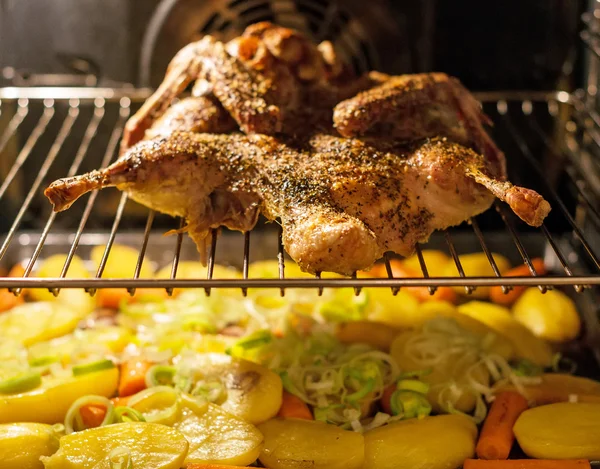 Roasted duck with potatoes in the oven. — Stock Photo, Image