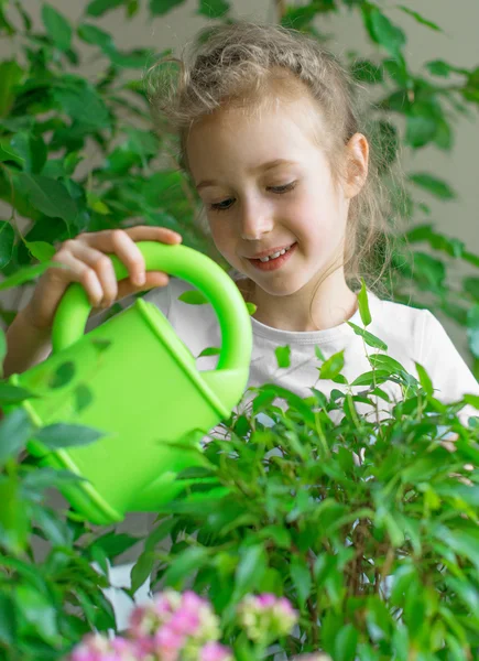 Cute little girl watering flowers at home. — Stock Photo, Image