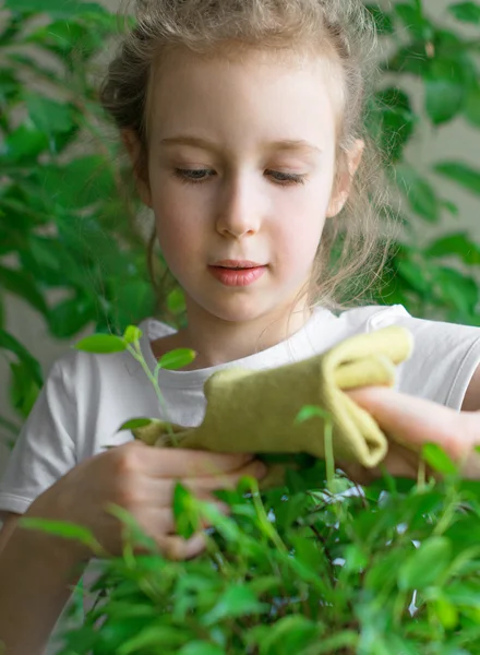 Little girl wipes dust from the flower leaves. — Stock Photo, Image