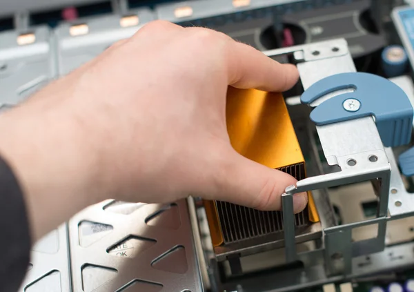 Datortekniker installera Cpu till moderkort. — Stockfoto