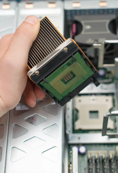 Técnico informático instalando CPU en la placa base . —  Fotos de Stock