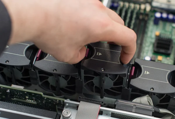 Computer technician installing cooler fan into motherboard. — Stock Photo, Image