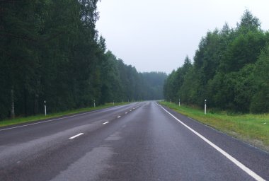 Yağmurdan sonra ormandaki Otoban.