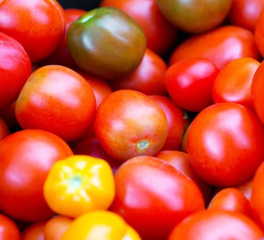 Homegrown biyo organik domates yığını.