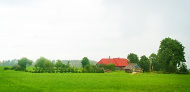 Yağmurdan sonra orman köyde.