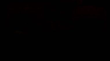 Suşi sarması. Geleneksel Japon yemekleri..