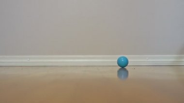 Küçük kedi yavrusu topla oynuyor. İskoç Katlaması.