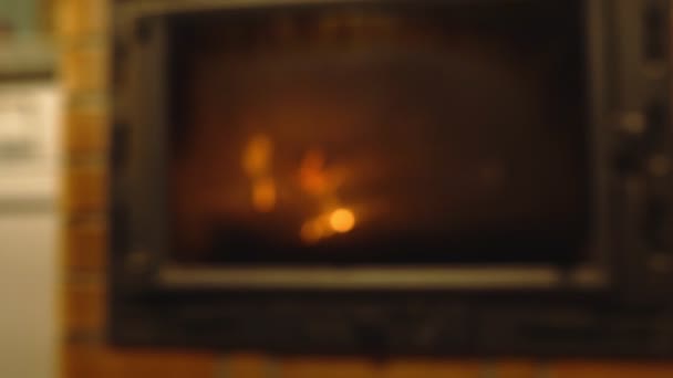 Couple Clinking Glasses Red Wine Burning Fireplace — Stock Video
