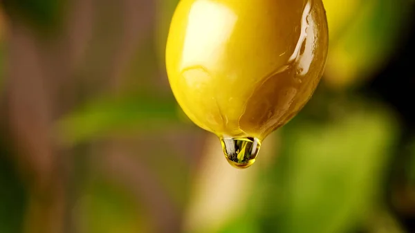 橄榄油滴在绿橄榄上 — 图库照片