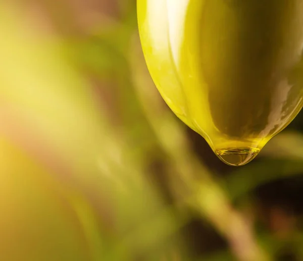 橄榄油滴在绿橄榄上 — 图库照片