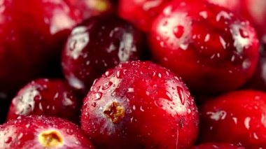 Taze olgun yaban mersinlerinin Macro manzarası.