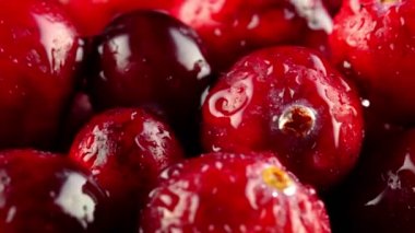 Taze olgun yaban mersinlerinin Macro manzarası.