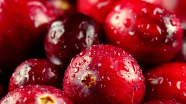 Taze olgun yaban mersinlerinin Macro manzarası.