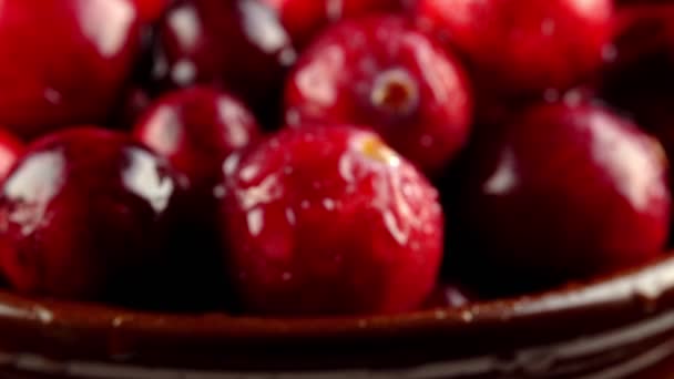 Μακροσκοπική Άποψη Των Νωπών Ώριμων Cranberries — Αρχείο Βίντεο