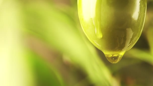 Goccia Olio Oliva Sgocciola Dalla Giovane Oliva Verde — Video Stock