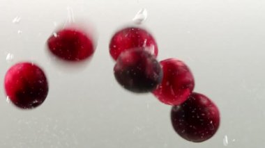 Taze taze kızılcıklar suya düşüyor..