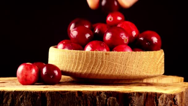 Fresh Ripe Cranberries Wooden Bowl — Stock Video