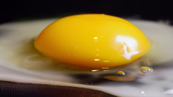 Close Fried Egg Friying Pan — Stok Video