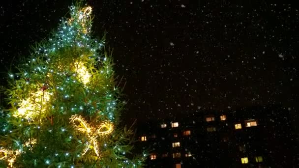Grote Versierde Kerstboom Buiten Sneeuw Valt — Stockvideo