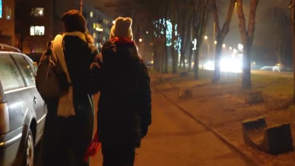 Anne Kızı Gece Eve Yürüyorlar — Stok video