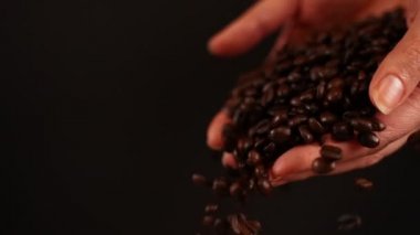 Kahve çekirdekleri siyah arka planda ellerinden dökülüyor..