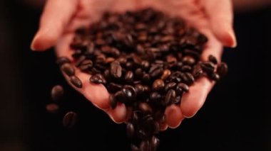 Kahve çekirdekleri siyah arka planda ellerinden dökülüyor..