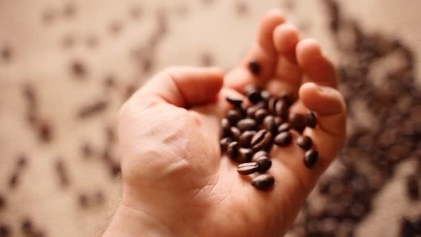 Master checking roasted coffee beans. — Stock Video