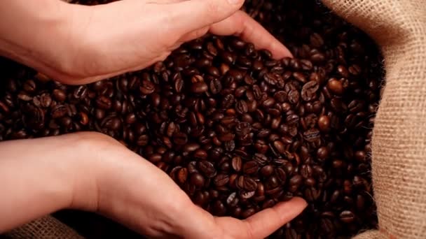 Chicchi di caffè che cadono dalle mani delle donne. — Video Stock