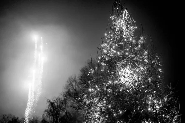 Geschmückter Weihnachtsbaum Und Feuerwerk Himmel Schwarz Weiß — Stockfoto