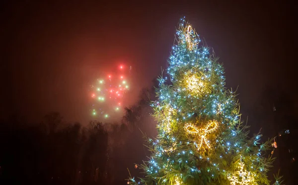 Geschmückter Weihnachtsbaum Und Feuerwerk Himmel — Stockfoto