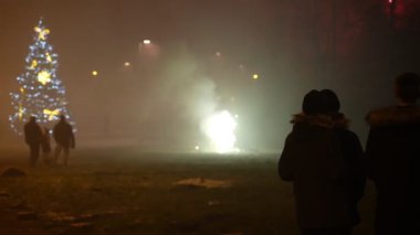 İnsanlar şehirde yeni yılı havai fişeklerle kutluyor..