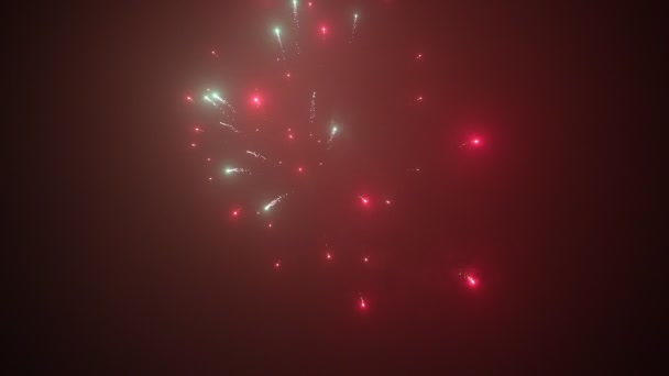 Fireworks Sky New Year Celebration — Stock Video