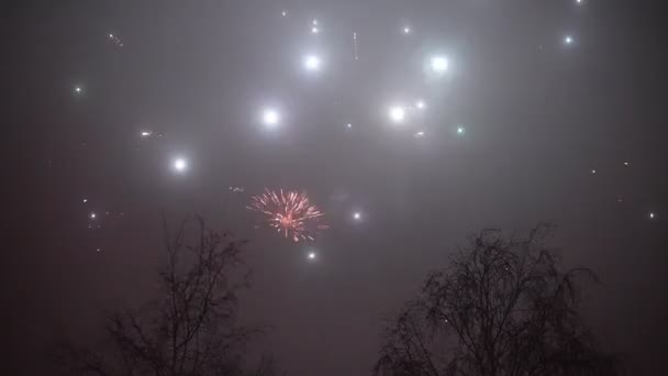Fogos Artifício Céu Celebração Ano Novo — Vídeo de Stock