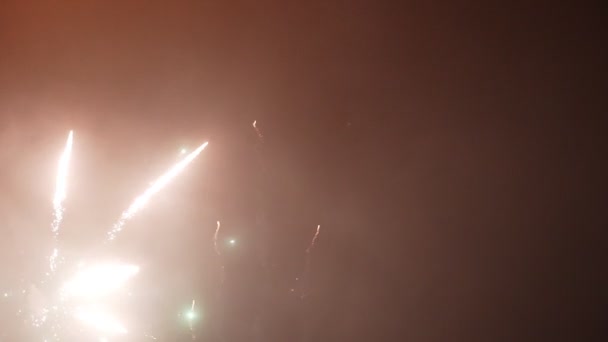 Vuurwerk Lucht Nieuwjaarsviering Video Slow Motion — Stockvideo