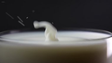 Süt damlası dolu bardağa düşer. Yavaş çekim.