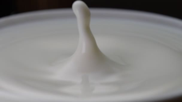 Mjölkdroppen Faller Ner Den Fyllda Koppen Långsamma Rörelser — Stockvideo