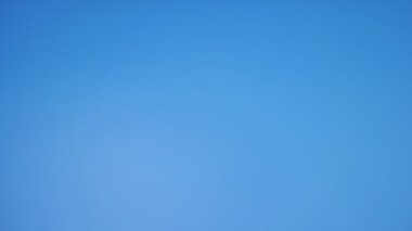 Akıllı telefonlu alışveriş arabası. Çevrimiçi alışveriş kavramı.