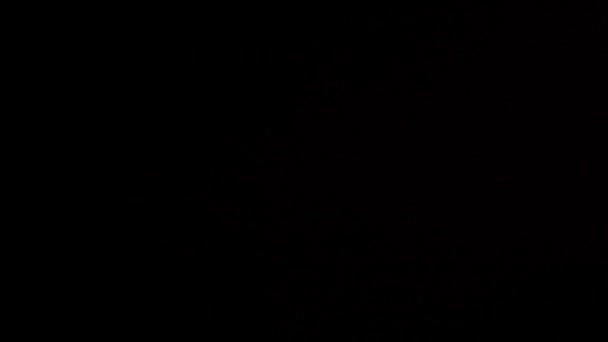 Взрыв Риса Черном Фоне Замедленной Съемке — стоковое видео