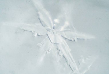 Mikroskobik Dünya. Mikroskop altında kar tanesi.