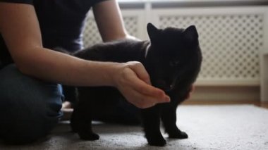 Adam Schipperke köpeğiyle oynuyor..