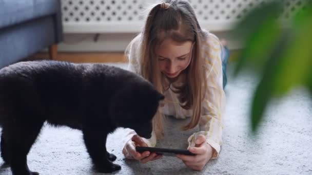 Tween Flicka Med Smartphone Och Nyfiken Valp — Stockvideo