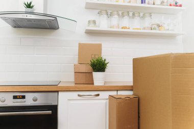 Çiçek saksısı ve karton kutular yeni mutfakta..