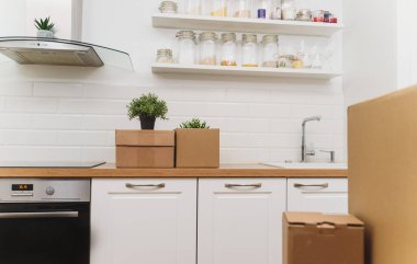 Çiçek saksısı ve karton kutular yeni mutfakta..